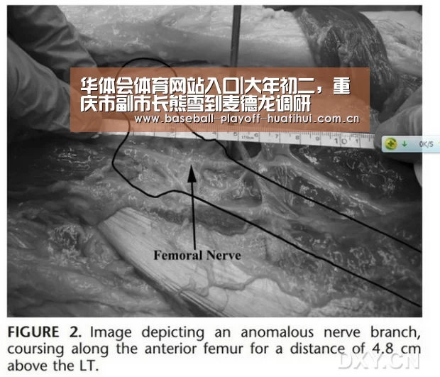 华体会体育网站入口|大年初二,重庆市副市长熊雪到麦德龙调研(图1) 华体会官网网页版