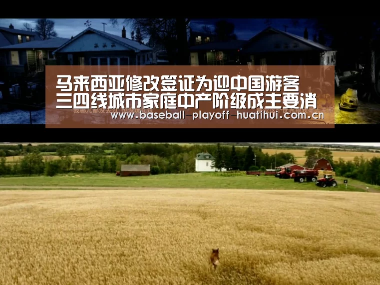 华体会体育网站入口