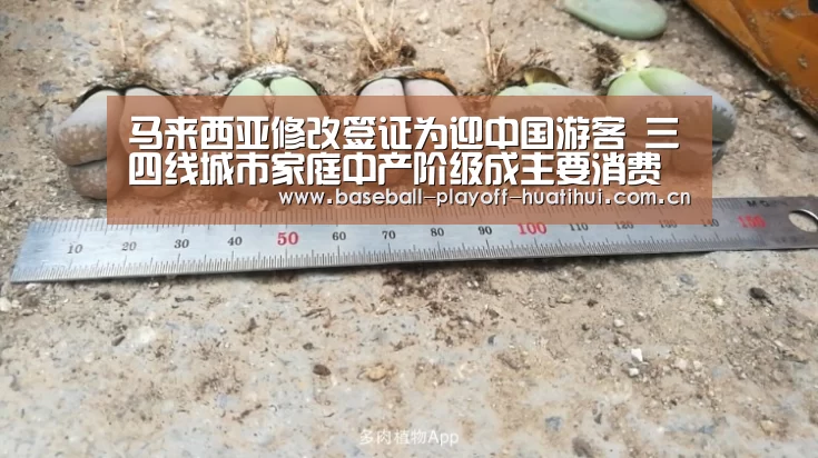 华体会官网网页版