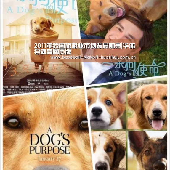 华体会体育网站入口